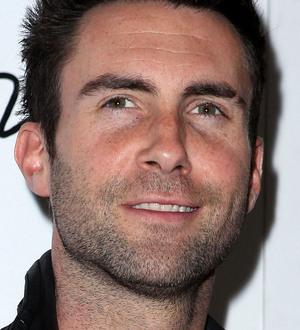 Maroon 5 want fans for new video