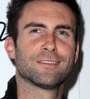 Maroon 5 want fans for new video