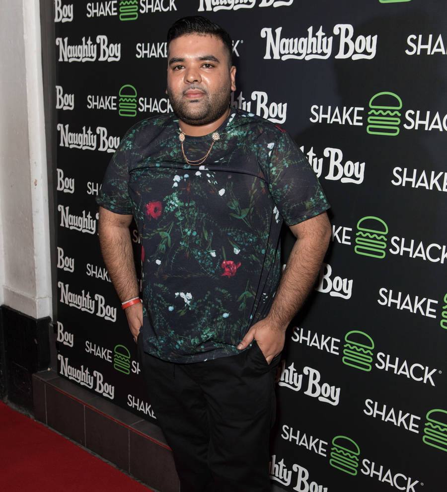 Naughty Boy hopes to reunite Jonas Brothers