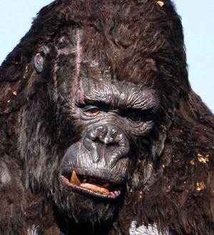 Broadway King Kong Musical in the Works