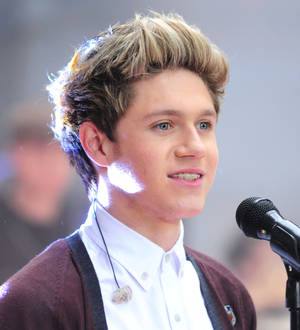 Niall Horan single again after break-up