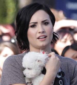 Demi Lovato axes TV appearance as she mourns dog's death