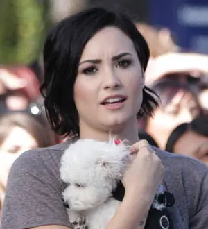 Demi Lovato axes TV appearance as she mourns dog's death