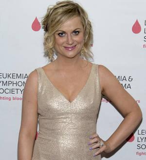 Amy Poehler's Parks and Recreation to end after seven seasons
