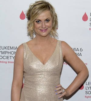 Amy Poehler's Parks and Recreation to end after seven seasons