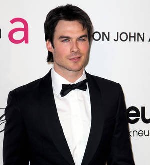 Ian Somerhalder's luggage missing in Belgium airport strike