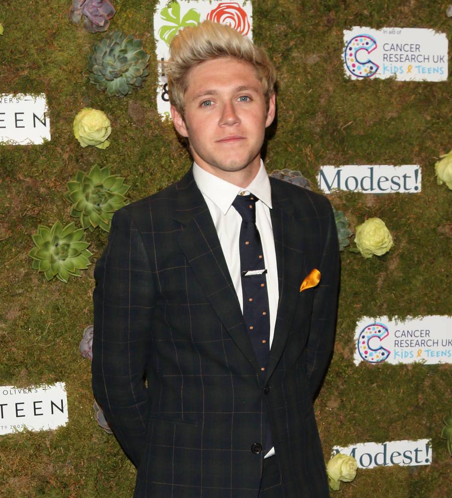 Niall Horan: 'Harry Styles is a good actor'