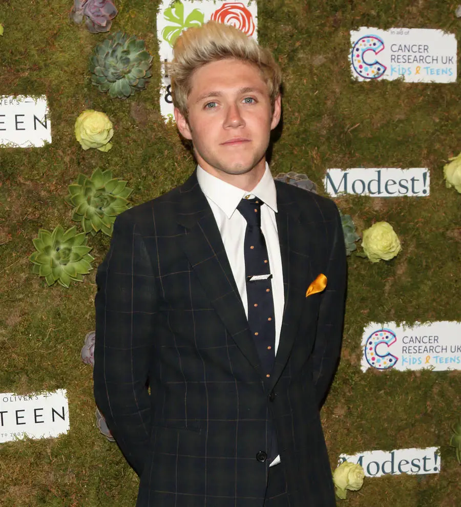 Niall Horan: 'Harry Styles is a good actor'