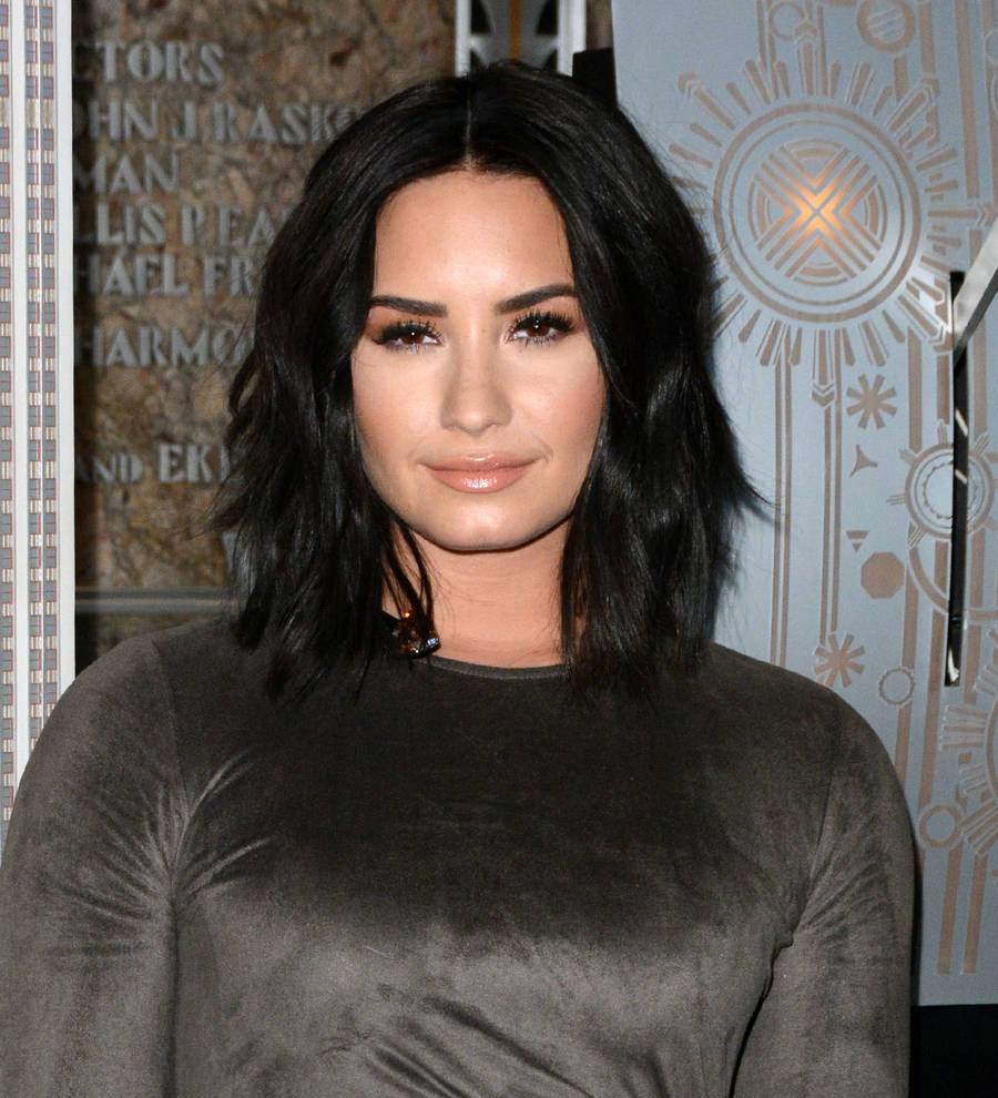 Demi Lovato has a new 'baby'