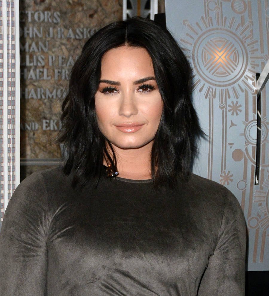 Demi Lovato has a new 'baby'