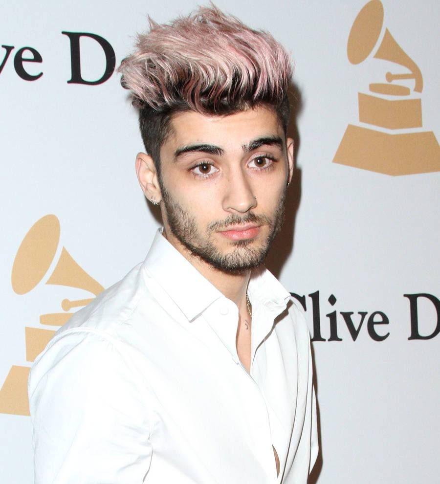 Zayn Malik developing boy band TV series - report