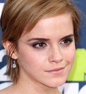 Emma Watson 'fought for education'