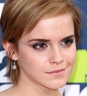 Emma Watson 'fought for education'