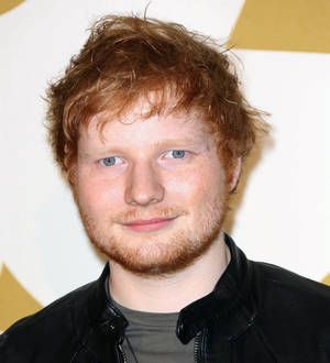 Ed Sheeran making concert movie