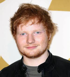 Ed Sheeran making concert movie