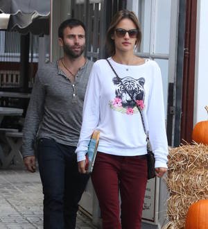 Representative dismisses Alessandra Ambrosio split reports