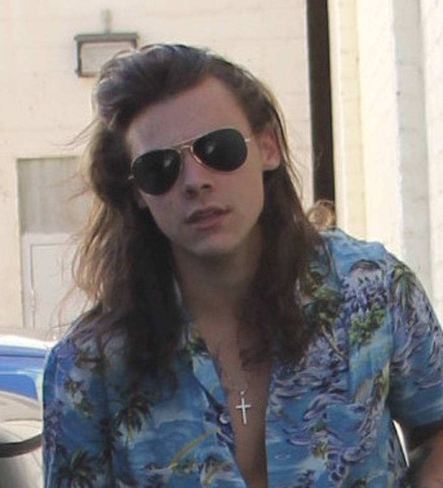 Harry Styles' personal holiday snaps leaked online