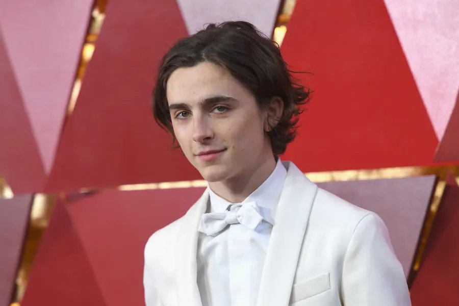 Timothée Chalamet