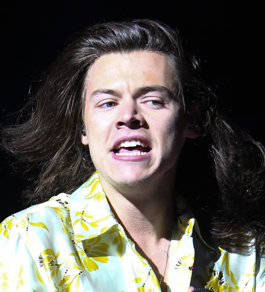 Harry Styles can spot fame-seekers