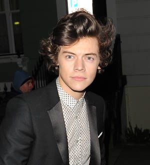 Stripper denies Harry Styles story
