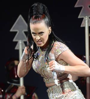 Katy Perry's merchandisers sue over fakes