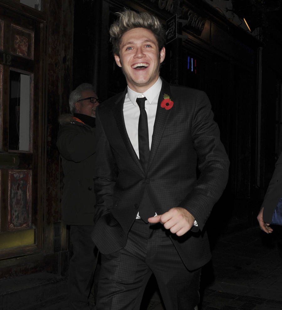 Niall Horan planning to go backpacking during hiatus