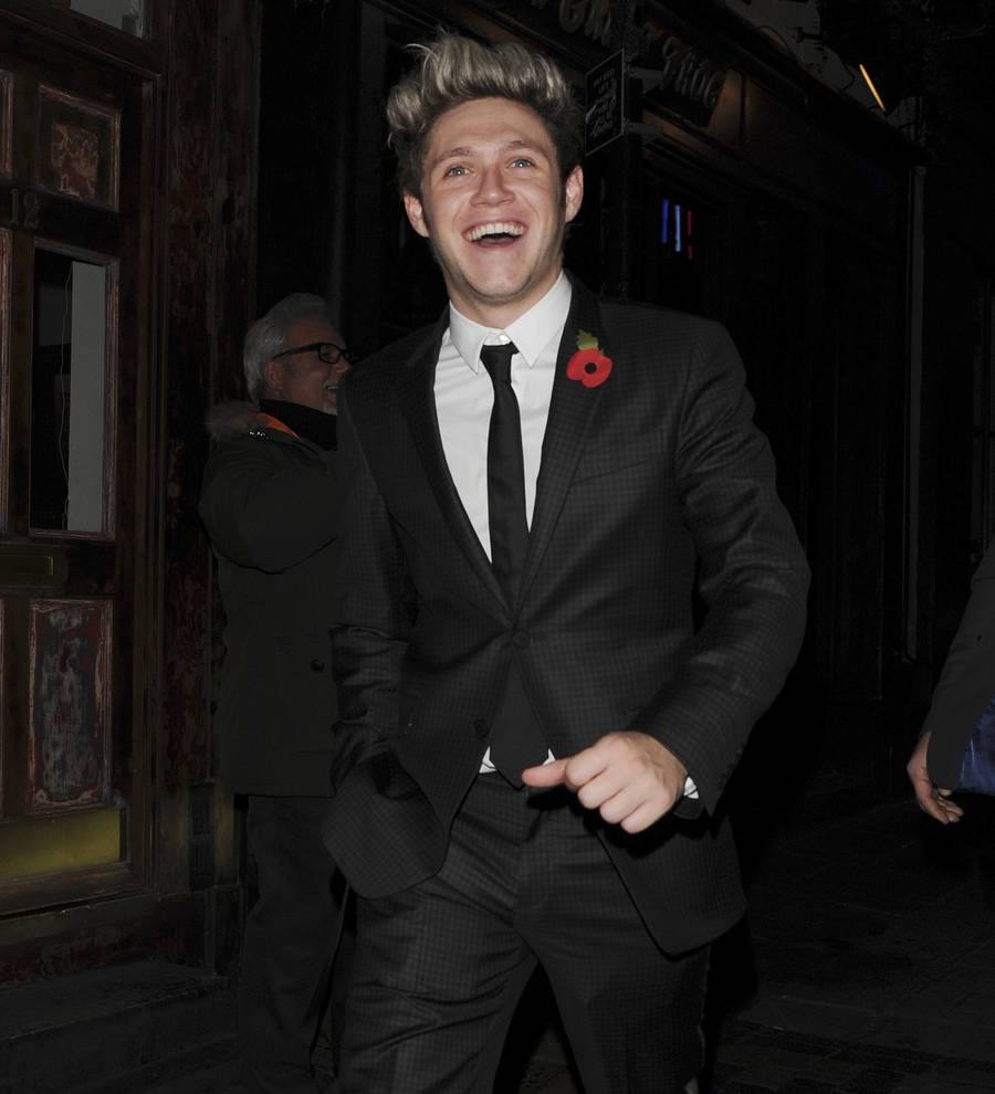 Niall Horan planning to go backpacking during hiatus