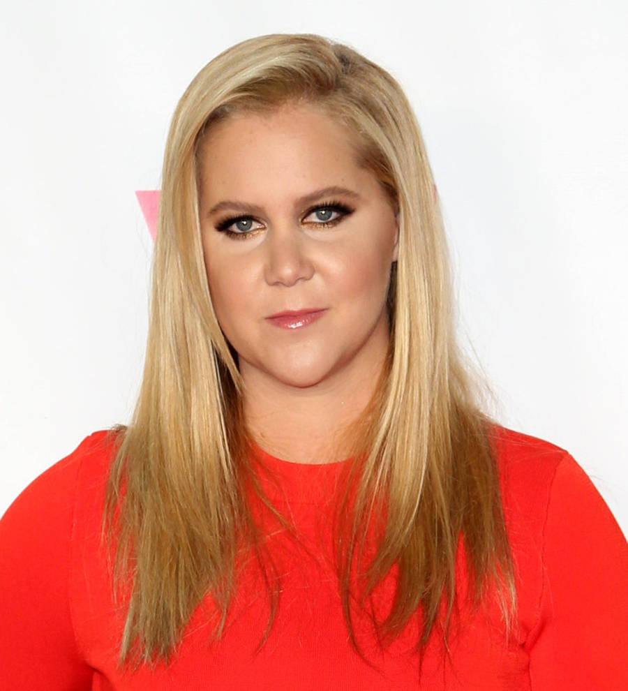 Amy Schumer kicks off 2016 with a new boyfriend