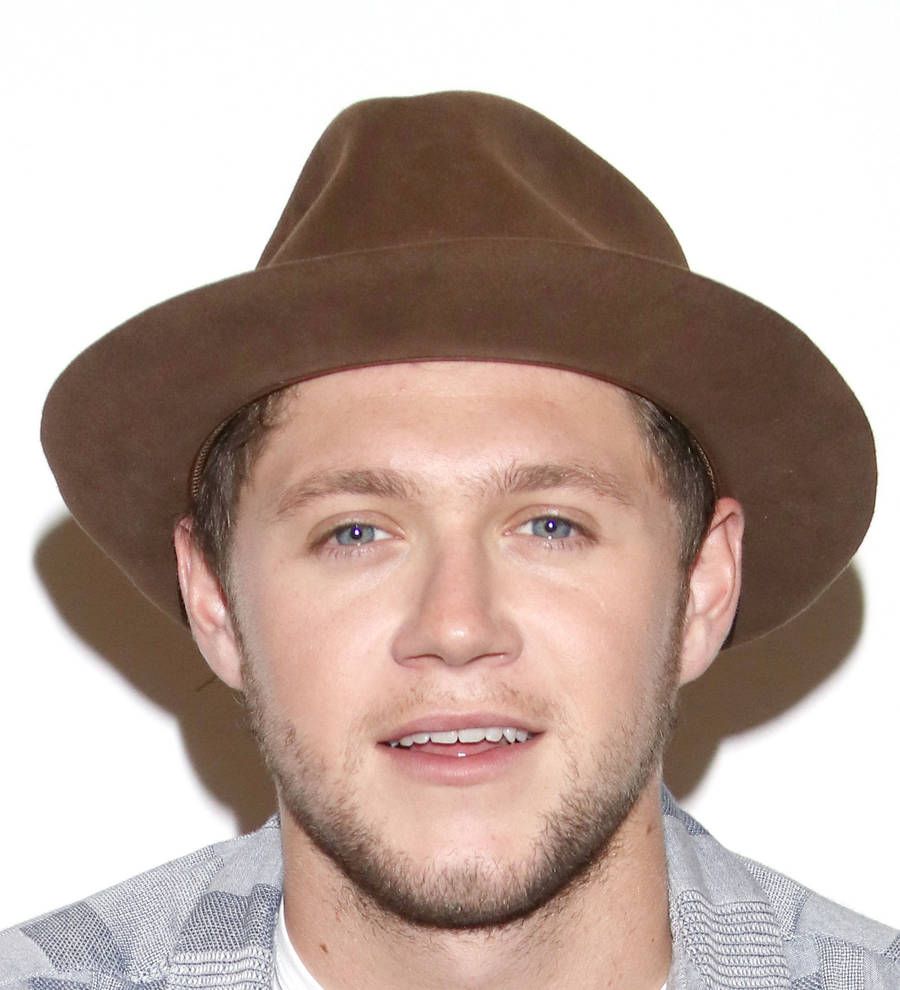 Niall Horan landed Maren Morris duet with an email