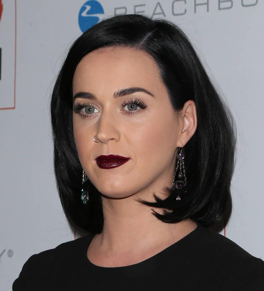 Katy Perry delivers weather report to highlight climate change