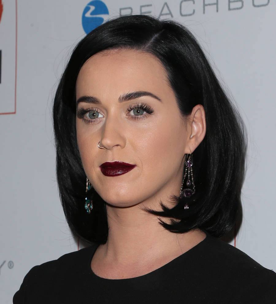 Katy Perry delivers weather report to highlight climate change