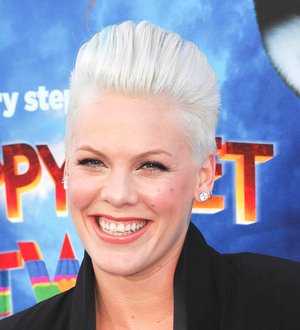 Pink donates to filmmaker's documentary fundraiser