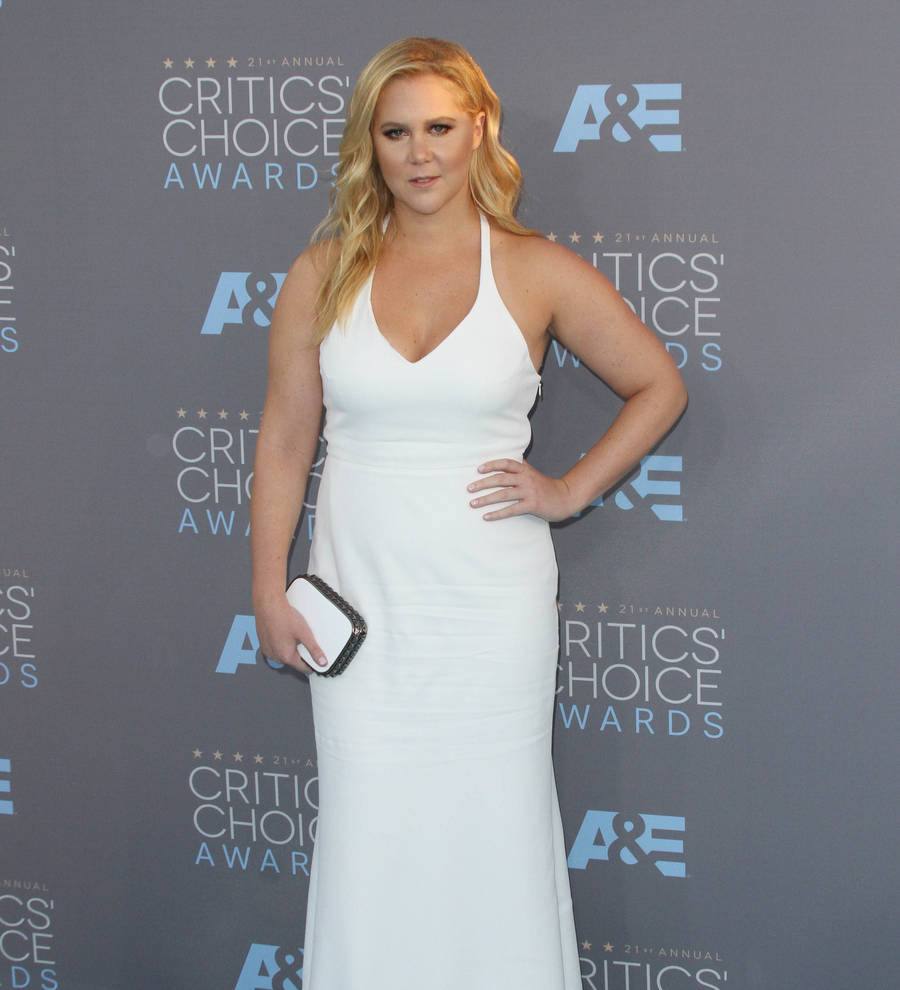 Amy Schumer takes break from Hollywood for bridesmaid duties