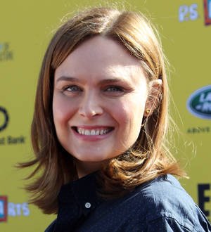 Emily Deschanel expecting second child