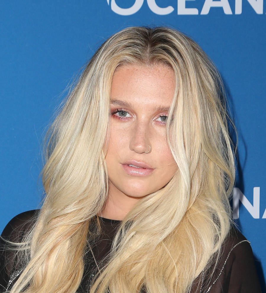 Kesha swims with octopus as she reveals deep sea passions on new TV show