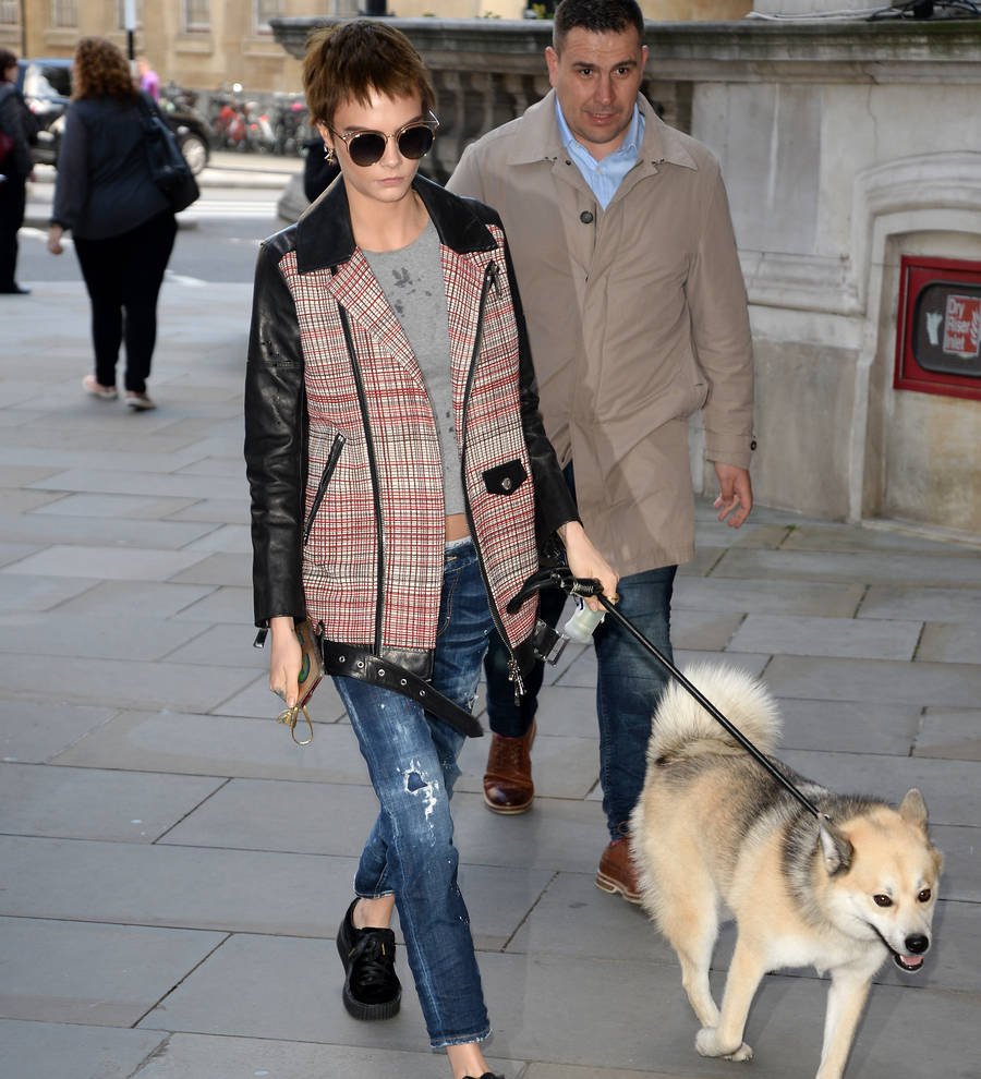 Cara Delevingne's excitable dog crashes her live TV interview