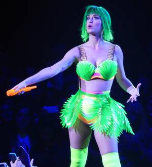 Katy Perry reunites with Robert Ackroyd - report