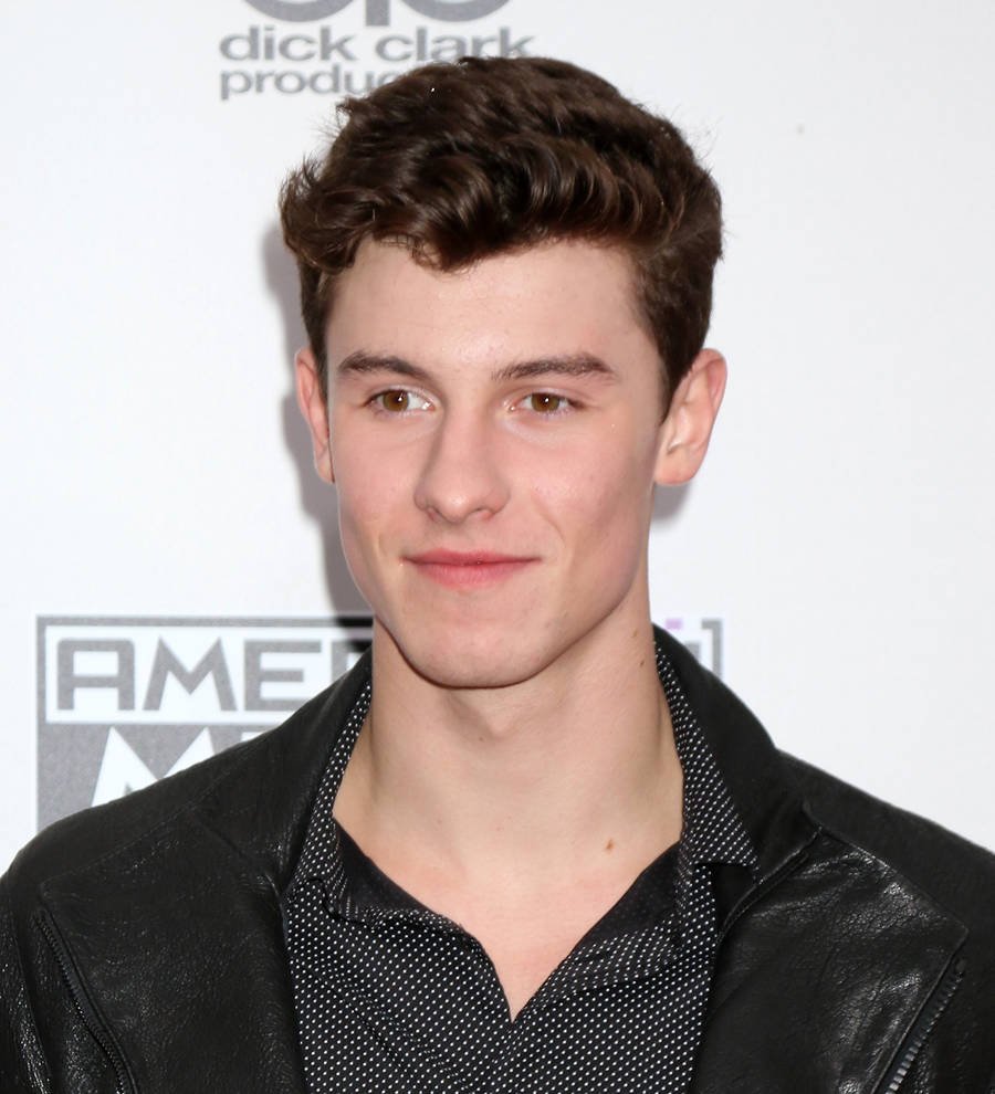 Sick Shawn Mendes axes Jingle Ball gig