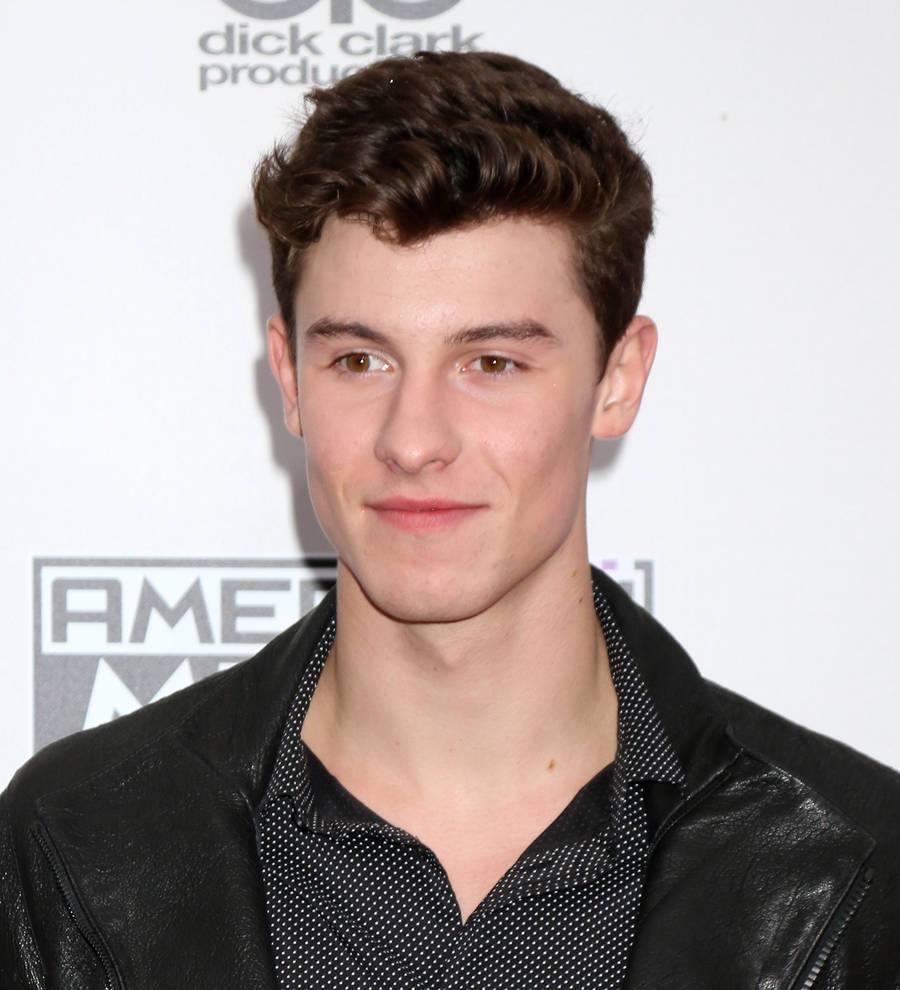 Sick Shawn Mendes axes Jingle Ball gig