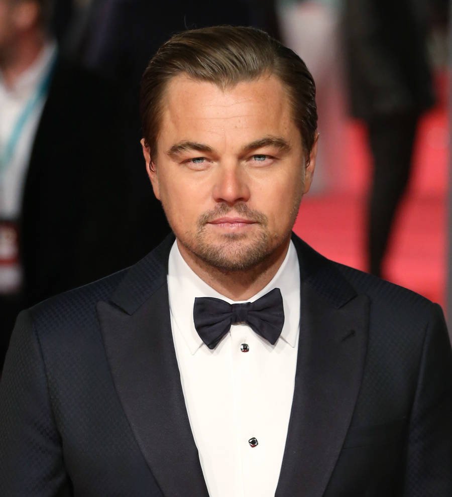 Leonardo DiCaprio fighting for the rights to Bruce Springsteen memoir - report