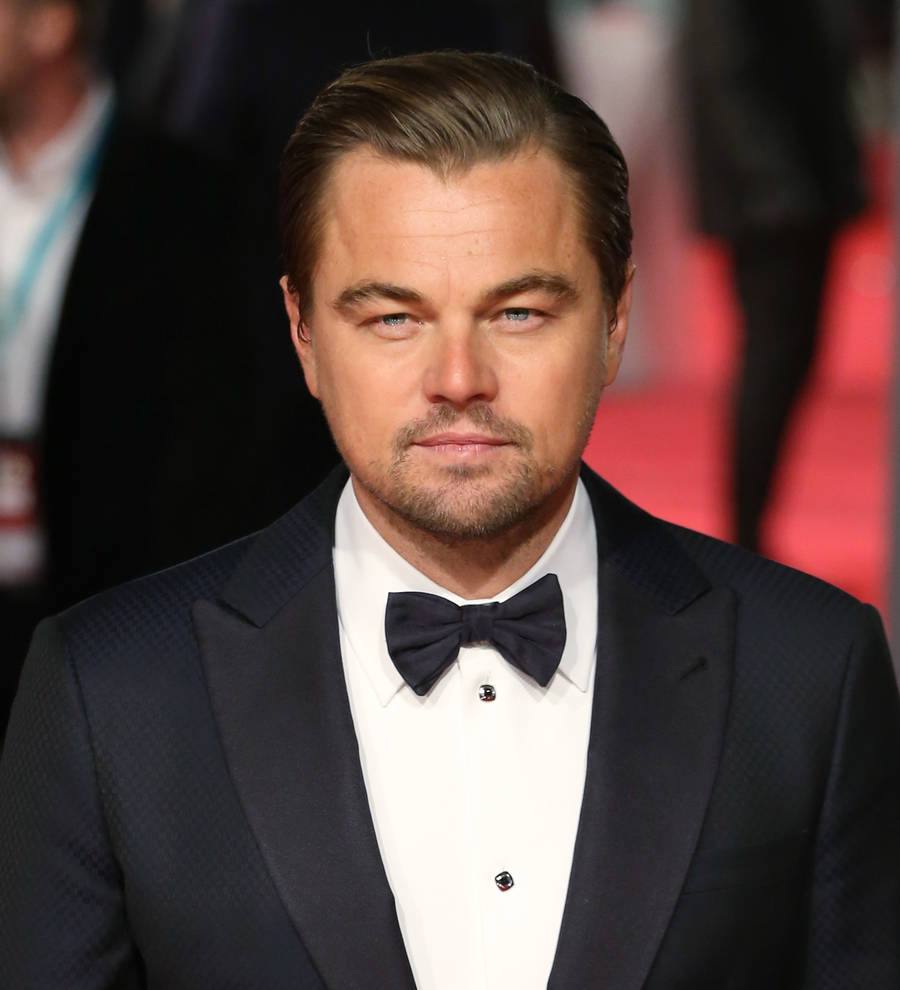 Leonardo DiCaprio fighting for the rights to Bruce Springsteen memoir - report
