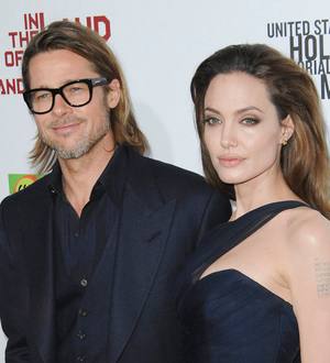 Angelina Jolie buys Brad Pitt a birthday waterfall - report