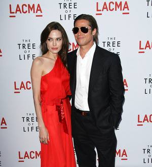 Angelina Jolie: 'There is no secret wedding'