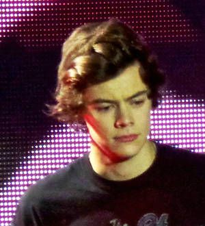 Harry Styles and Zayn Malik tease fans with edible underwear at gig