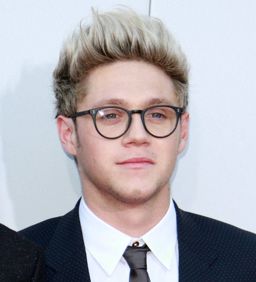 Niall Horan: 'I'd marry Selena Gomez'