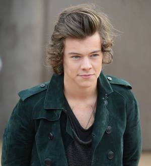Harvey Weinstein offers Harry Styles movie career