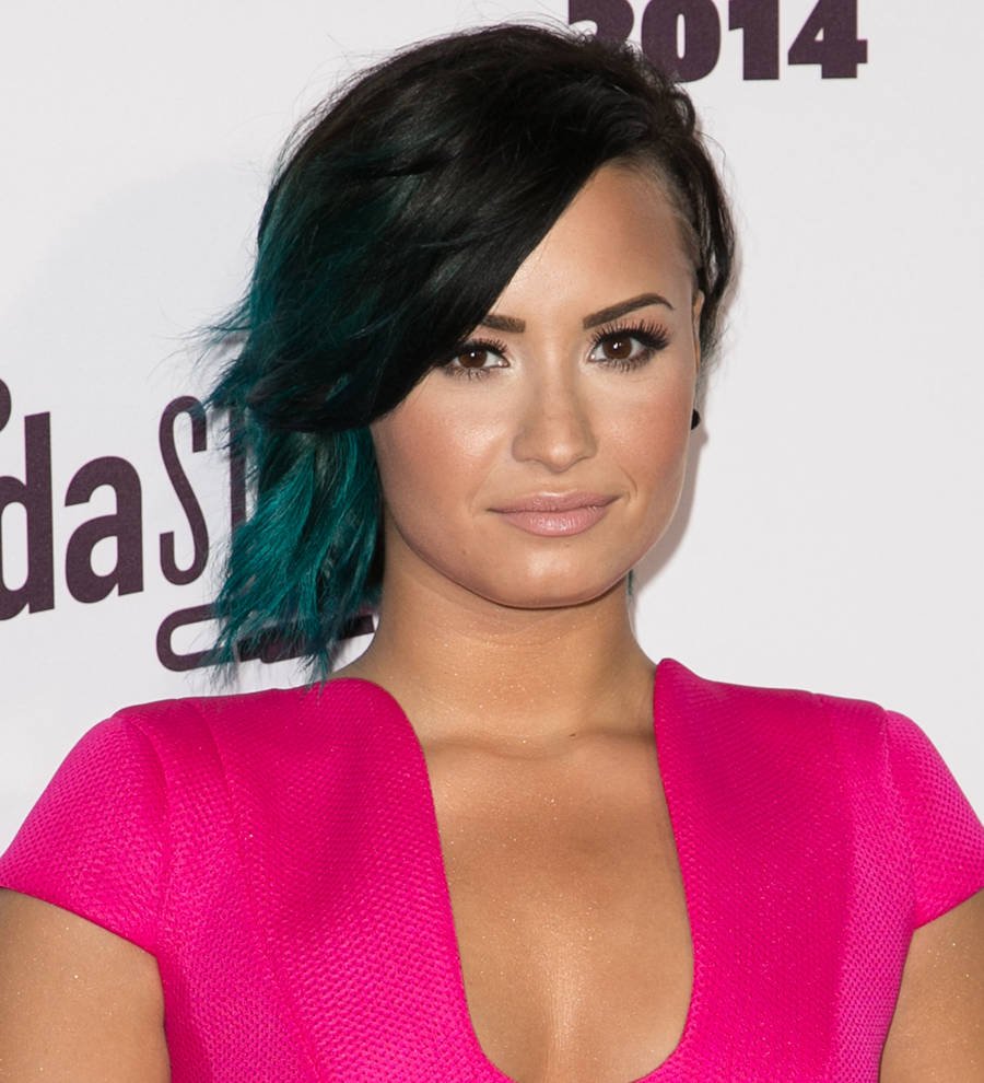 Demi Lovato: 'I did not date Ruby Rose'