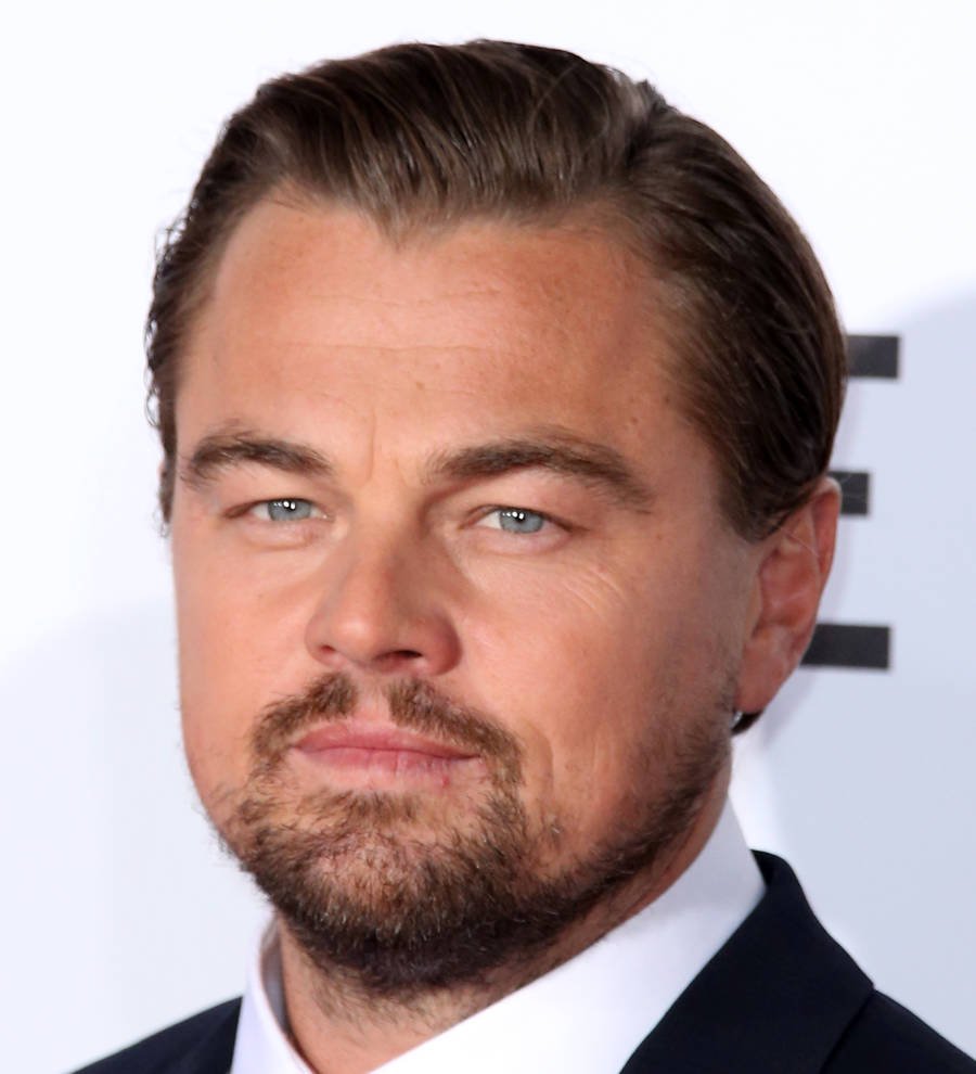 Leonardo DiCaprio single again