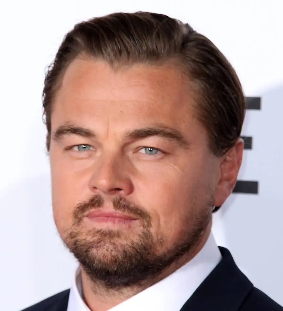 Leonardo DiCaprio single again