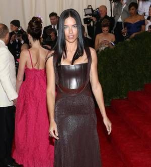 Adriana Lima slams head into bus mirror